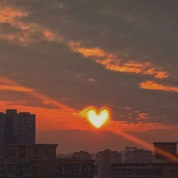 Hỗ trợ viên Aditi